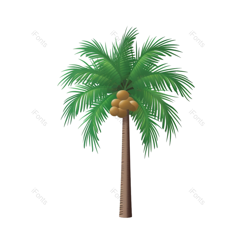 白色背景图片,橄榄元素,海滩PNG,植物免抠素材